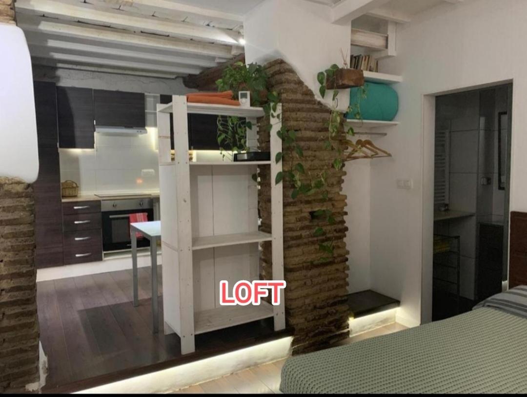 Loft Increible En El Centro Apartman Granada Kültér fotó